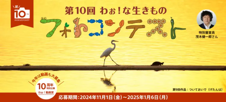 【募集終了】第10回 わぉ！な生きものフォトコンテスト［グランプリ デジタルスチルカメラ『RX10 IV』（DSC-RX10M4）］