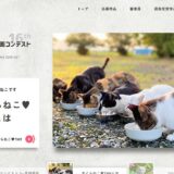 公益財団法人どうぶつ基金│いのちつないだワンニャン写真・動画コンテスト2025［環境大臣賞 賞金賞品合わせて10万円相当］