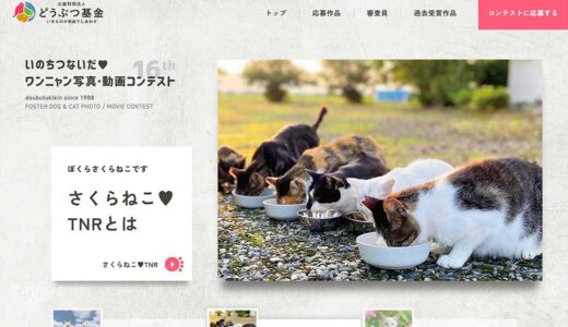 【募集終了】公益財団法人どうぶつ基金│いのちつないだワンニャン写真・動画コンテスト2025［環境大臣賞 賞金賞品合わせて10万円相当］