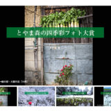 富山市ほか│第10回 とやま森の四季彩フォト大賞［大賞 賞金300万円］