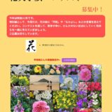 北条地区まちづくり協議会│早坂暁顕彰事業 第8回 花笑手紙コンテスト［大賞 北条特産品20,000円相当］