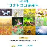 第4回 SONIDORIフォトコンテスト［グランプリ 旅行券3万円 SONIDORIカレンダー2026年版］