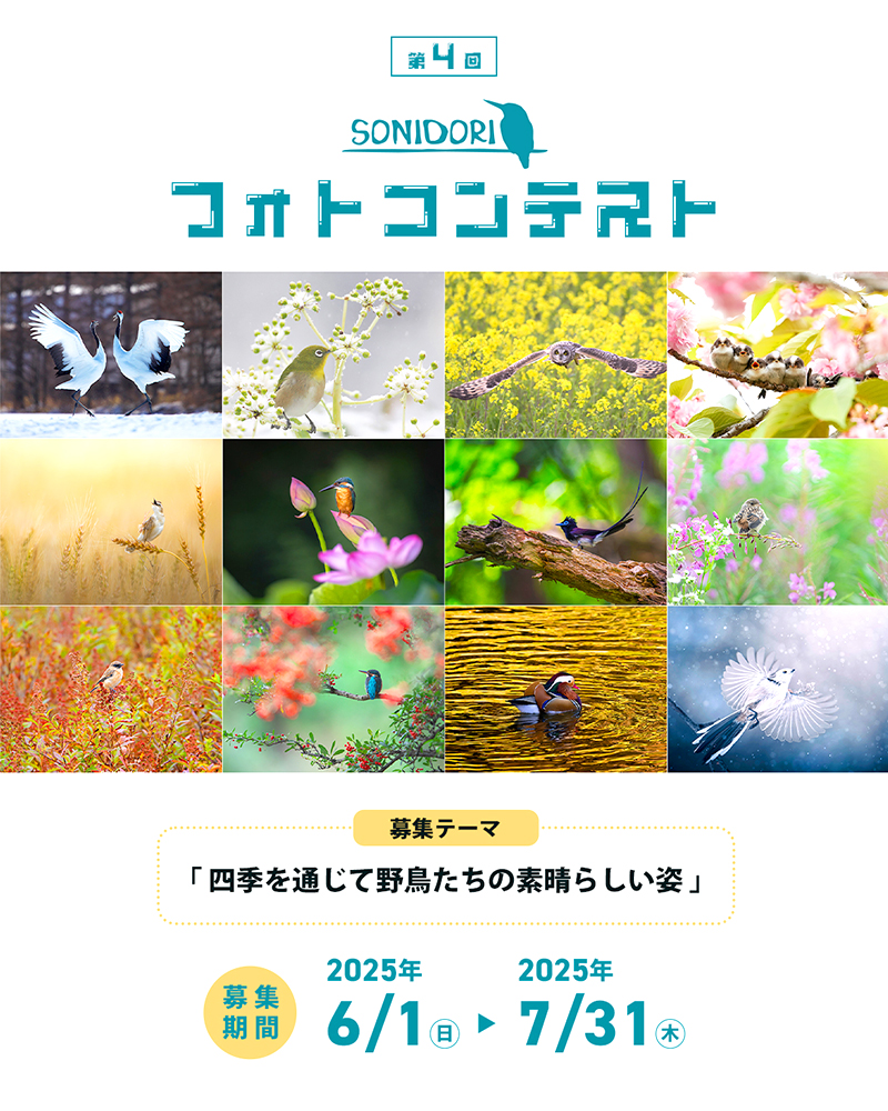 第4回 SONIDORIフォトコンテスト［グランプリ 旅行券3万円 SONIDORIカレンダー2026年版］