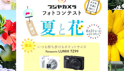 スマホ写真もOK！ フジヤカメラフォトコンテスト お題は“夏と花”（2025年8月）［最優秀2作品 Panasonic LUMIX TZ99］