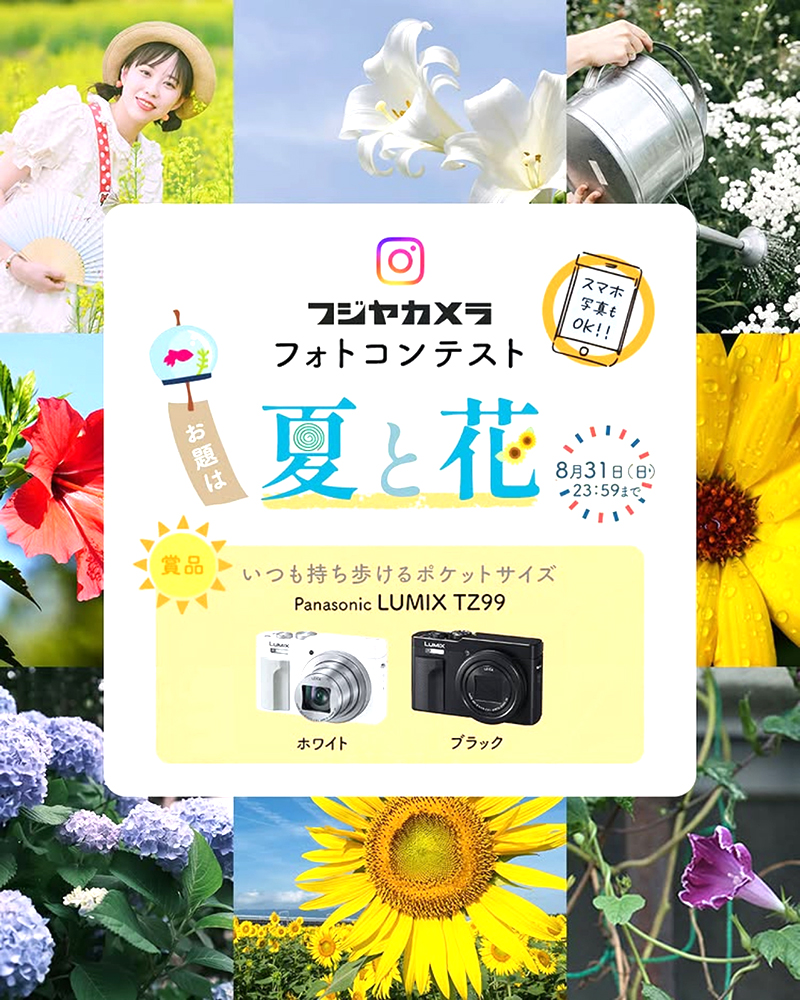スマホ写真もOK！ フジヤカメラフォトコンテスト お題は“夏と花”（2025年8月）［最優秀2作品 Panasonic LUMIX TZ99］