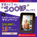 【8/31まで!!】フォロー＆動画リポストでJTBナイスギフト券10,000円分が当たる！ ソウルプチポット フォロー＆動画リポストキャンペーン