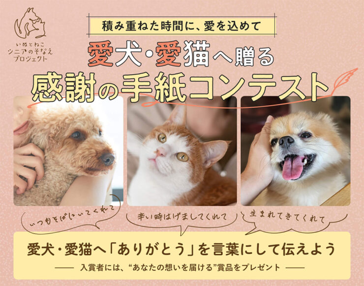 「新作愛猫、愛犬ちゃん、他動物も描きます！過去作品も全サイズ対応」 募集終了【（愛犬・愛猫の）年齢限定公募】積み重ねた時間に、愛を込め
