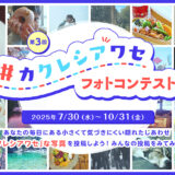 日本製紙クレシア│第3回 カクレシアワセフォトコンテスト［大賞 賞金10万円］