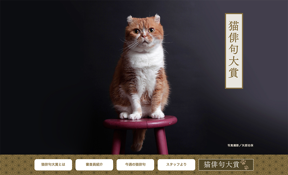 【募集終了】株式会社アドライフ│第3回 猫俳句大賞［大賞 賞金10万円］