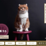 株式会社アドライフ│第7回 猫俳句大賞［大賞 賞金10万円］