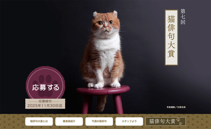 株式会社アドライフ│第7回 猫俳句大賞［大賞 賞金10万円］