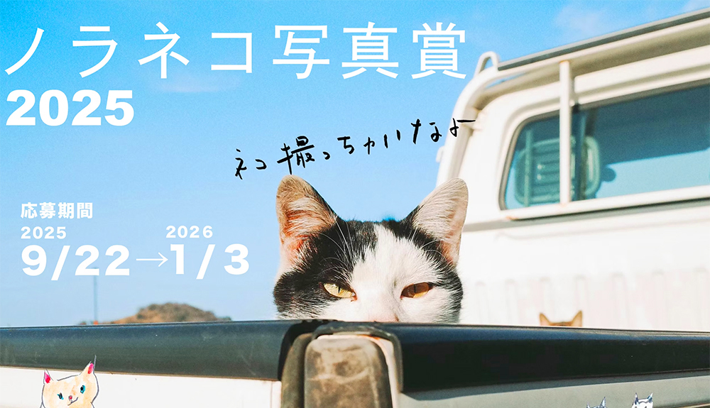 ノラネコ写真賞2025［グランプリ作品 対馬の食材セット2万円相当など