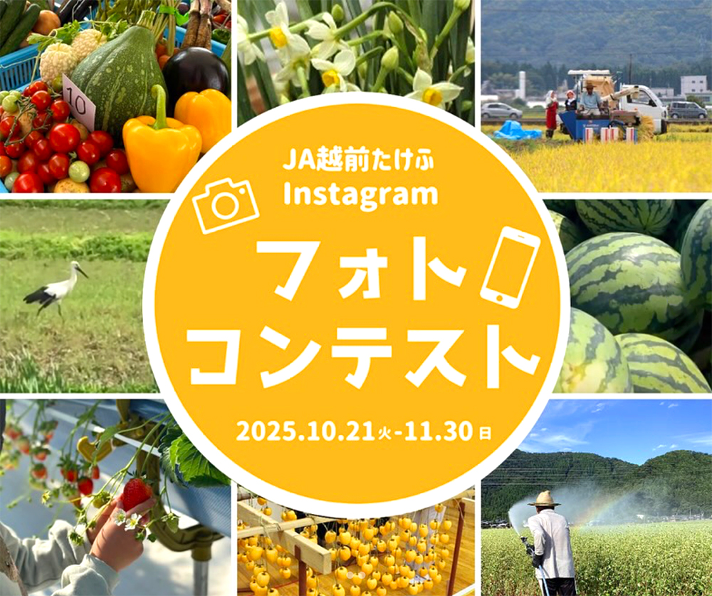 【地域限定公募】JA越前たけふフォトコンテスト［賞 福井県特産品詰め合わせ］