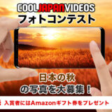 第31回 COOL JAPAN VIDEOS フォトコンテスト -日本の秋-［大賞 Amazonギフト券1万円分］