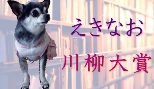 易学南国苑│第9回 えきなお川柳大賞［大賞 ギフトカード1万円分］