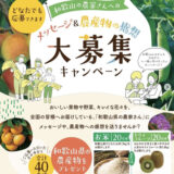 【12/31まで‼️ 抽選で40名様に和歌山県の農産物をプレゼント‼️】JAわかやま│和歌山の農家さんへのメッセージ&農産物の感想 大募集キャンペーン