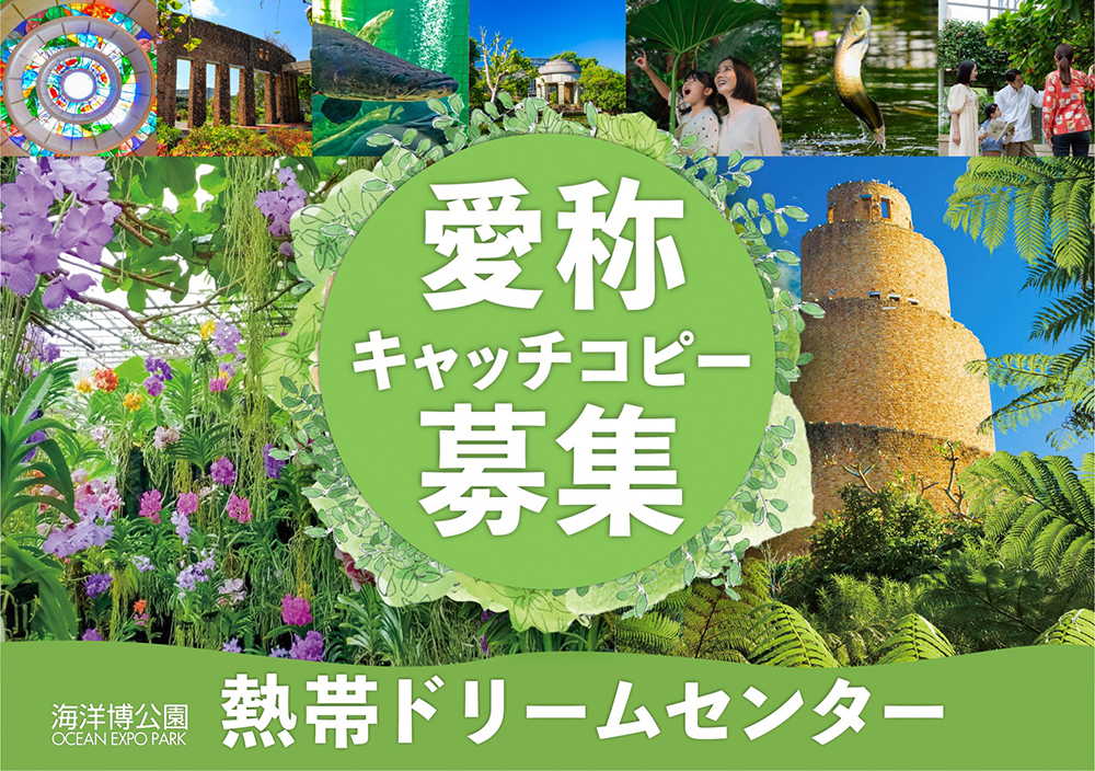 海洋博公園開園50周年・熱帯ドリームセンター開館40周年記念 熱帯ドリームセンター愛称＆キャッチコピー大募集！［最優秀賞 本部町特産品及び海洋博オリジナルグッズ1万円相当］