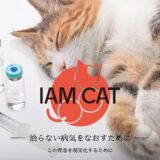 株式会社IAM CAT│AIM猫薬の名前（販売名）の案を募集します！