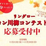 リングロー│PCユーザーの“PC体験”を五・七・五で表現！ パソコン川柳コンテスト2025［最優秀賞 Amazonギフトカード5,000円分］