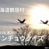 北海道鶴居村 2025年 第39回タンチョウクイズ［特賞 JAL旅行券5万円分］