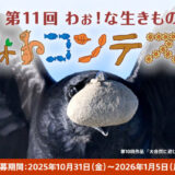 第11回 わぉ！な生きものフォトコンテスト［わぉ！グランプリ デジタル一眼カメラ『α7C II』（ILCE-7CM2L）ズームレンズキット］