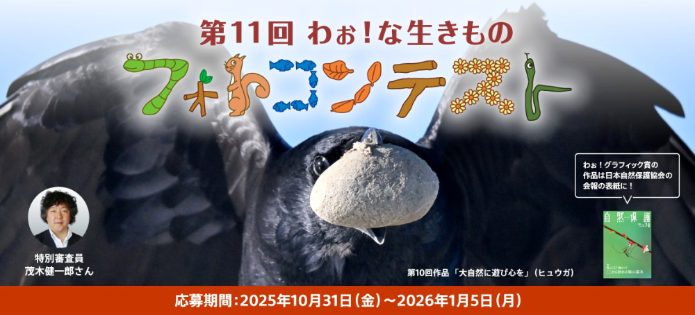 第11回 わぉ！な生きものフォトコンテスト［わぉ！グランプリ デジタル一眼カメラ『α7C II』（ILCE-7CM2L）ズームレンズキット］