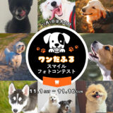 ドイツ発の人気ブランドがタッグ！ QCHEFS&PALOPA│健やかな歯から、ワンだふるスマイルフォトコンテスト［最優秀賞 ドーナツベッドSサイズ デンタルチャコール&シズル&チージー3点セット］