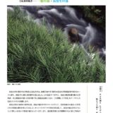 【アマチュア限定公募】学校法人奈良大学 井上博道記念館│「奈良万葉」写真コンテスト［一般の部 最優秀賞 賞状 図書カード20,000円］