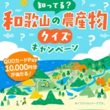 【2/28まで!! 抽選で30名様にQUOカードPay10,000円分が当たる!!】JAわかやま│知ってる？ 和歌山の農産物クイズキャンペーン