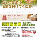 島根県│水稲新品種「島系84号」の名称を募集します！［最優秀賞 島根県産米84kg+しまね和牛1万円相当］