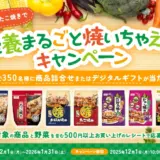 【1/31まで!! 昭和産業商品詰合せ・QUOカードPayが当たる!!】昭和産業株式会社│お好み焼き・たこ焼きで栄養まるごと焼いちゃえ！キャンペーン
