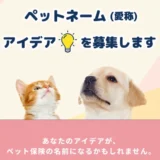 「エイチ・エス損保のペット保険」ペットネーム（愛称）アイデアを募集します［優秀賞 エイチ・アイ・エスの商品券SKY3万円分など］