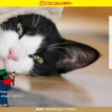 【募集終了】ニコニコレンタカー│第11回 ニコニコ川柳会［賞金 3万円］