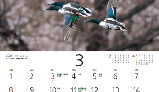 日本野鳥の会│「ワイルドバード・カレンダー2027」写真募集［採用者 作品使用料として4万円 カレンダー2部］