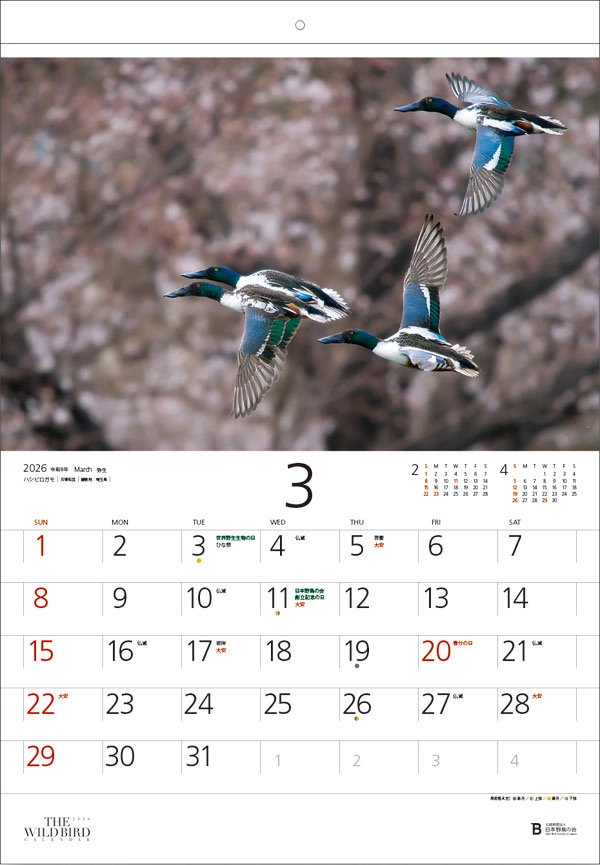 日本野鳥の会│「ワイルドバード・カレンダー2027」写真募集［採用者 作品使用料として4万円 カレンダー2部］