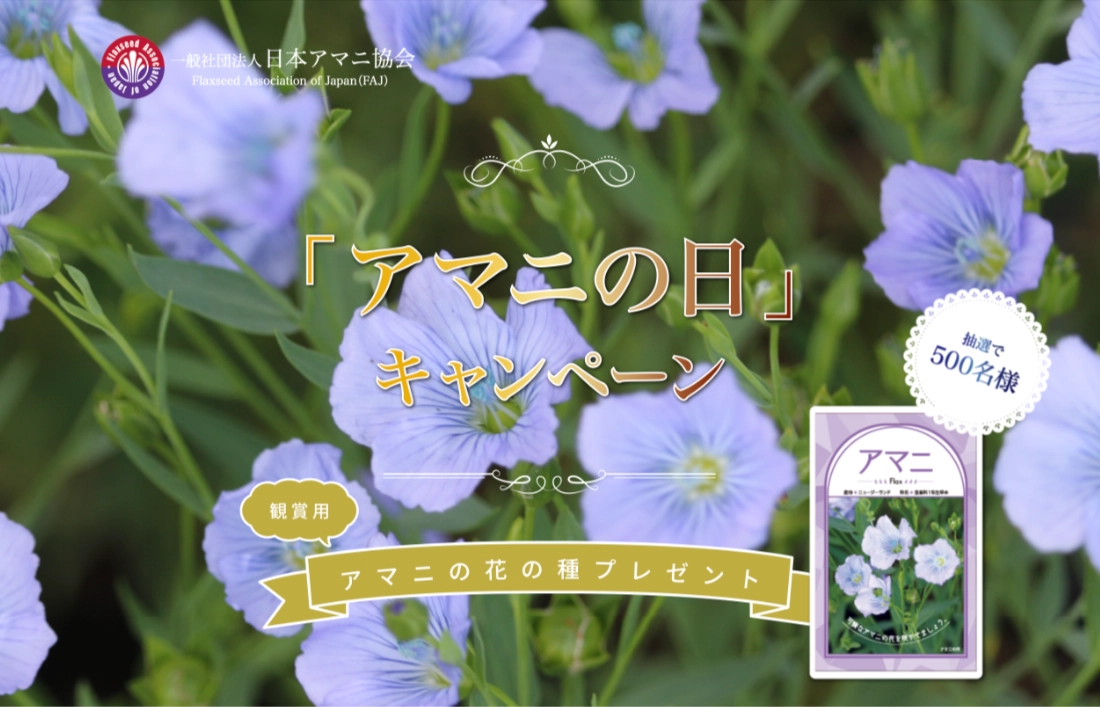 【3/31まで!! 抽選で500名様に鑑賞用アマニの花の種プレゼント!!】日本アマニ協会│「アマニの日」キャンペーン