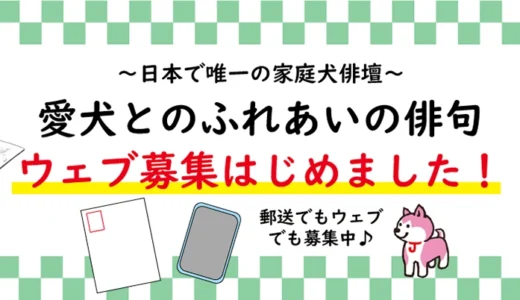 ～家庭犬俳壇～ 愛犬とのふれあいの俳句 夏の部［特選句 図書カード贈呈］