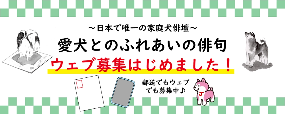 ～家庭犬俳壇～ 愛犬とのふれあいの俳句 夏の部［特選句 図書カード贈呈］
