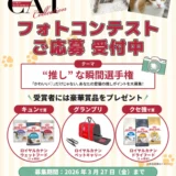 TOKYO CAT COLLECTIONフォトコンテスト "推し"な瞬間選手権［グランプリ ロイヤルカナン ペットキャリー］