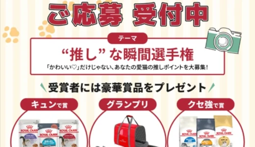 TOKYO CAT COLLECTIONフォトコンテスト "推し"な瞬間選手権［グランプリ ロイヤルカナン ペットキャリー］