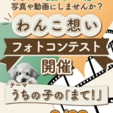 わんこ想いフォトコンテスト［最優秀賞 愛犬の似顔絵入りオリジナルフードボウル］