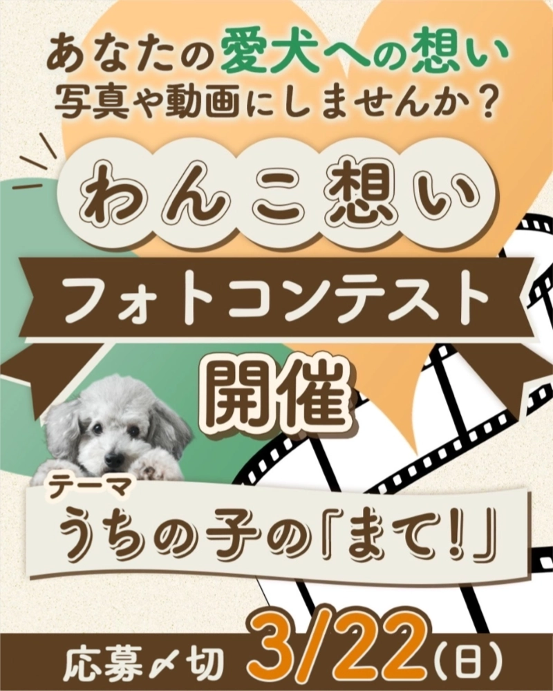 わんこ想いフォトコンテスト［最優秀賞 愛犬の似顔絵入りオリジナルフードボウル］