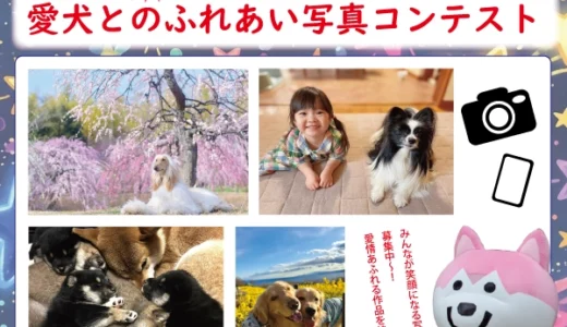 一般社団法人ジャパンケネルクラブ│2026 第35回 愛犬とのふれあい写真コンテスト［最優秀賞 賞品 賞状 総額5万円相当］