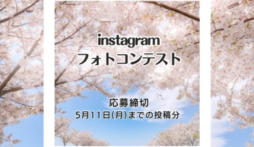 大阪まいしまシーサイドパーク│ネモフィラ祭り2026 Instagramフォトコンテスト［グランプリ副賞 商品券5万円分］
