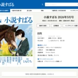 集英社│第40回 小説すばる新人賞 原稿募集［正賞=記念品 副賞=200万円］