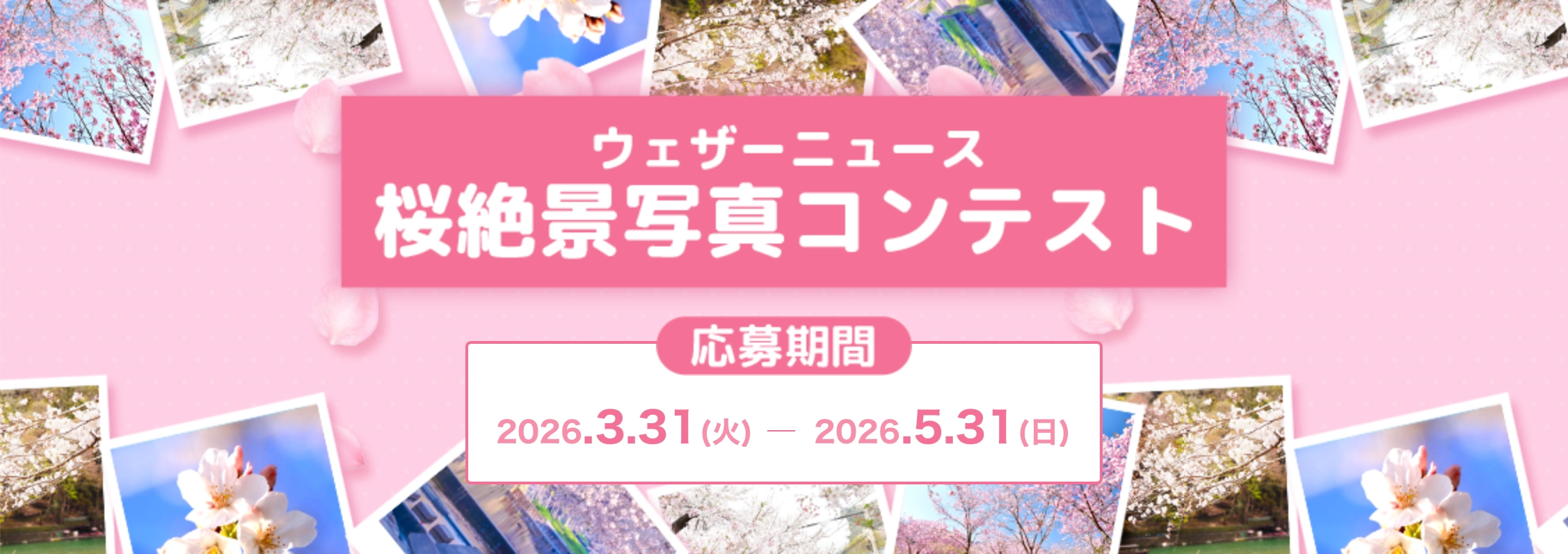 ウェザーニュース│桜絶景写真コンテスト ウェザーニュース桜フォト祭り2026［写真部門最優秀賞 Amazonギフト券1万円分］