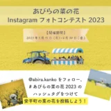 【募集終了】あびらの菜の花Instagramフォトコンテスト2023［最優秀賞 アサヒメロン2玉 安平町商品券5,000円分］