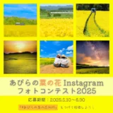 【募集終了】あびらの菜の花Instagramフォトコンテスト2025［最優秀賞 アサヒメロン2玉+安平町商品券5,000円分］