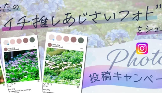 三島スカイウォーク│あじさい写真投稿キャンペーン［賞 作品紹介・カレンダーに掲載］