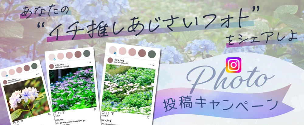 三島スカイウォーク│あじさい写真投稿キャンペーン［賞 作品紹介］